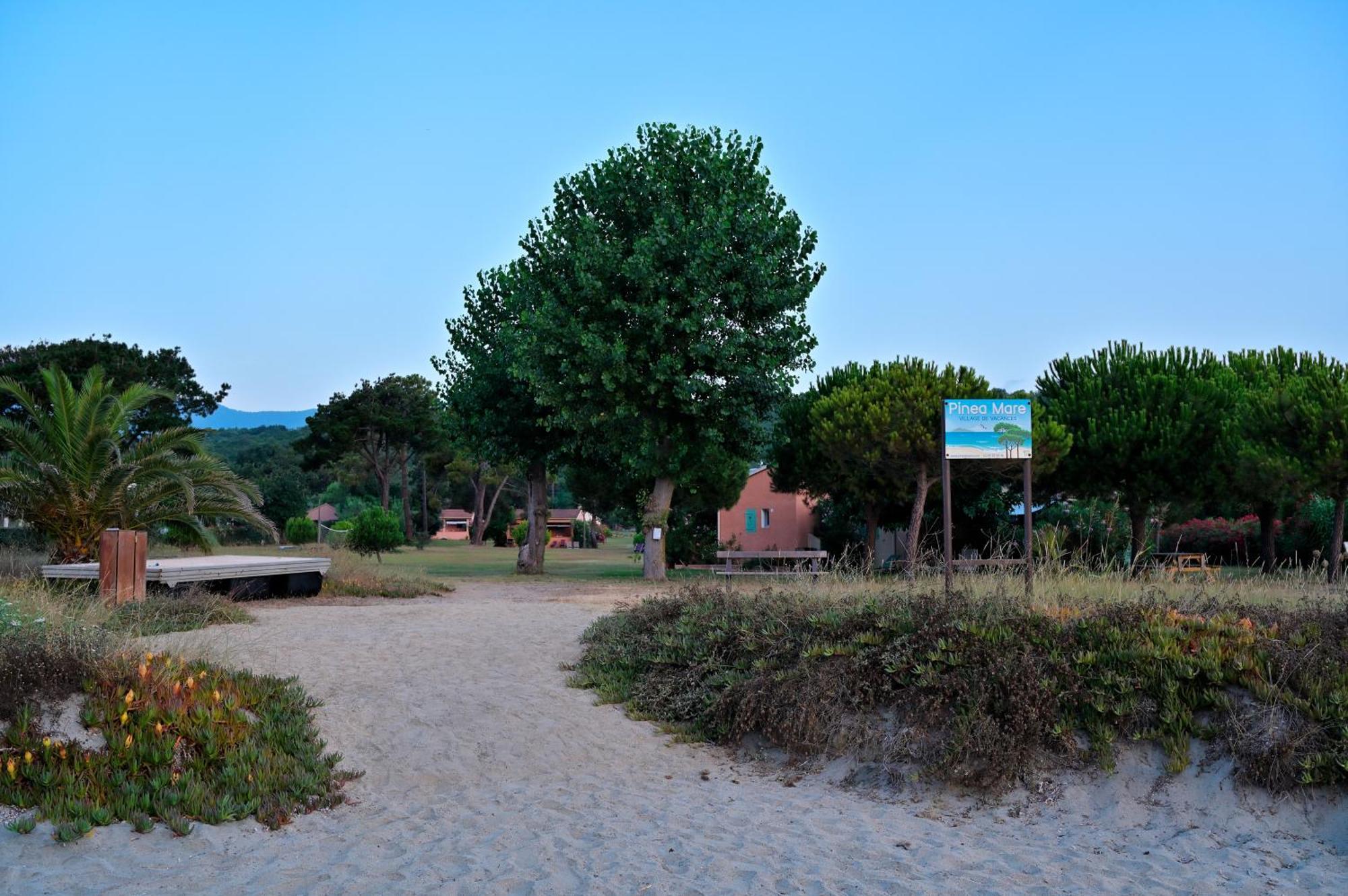 Hotel Pinea Mare Poggio Mezzana Exterior foto